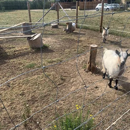 Les Hebergements Insolites Catalans Saint-André